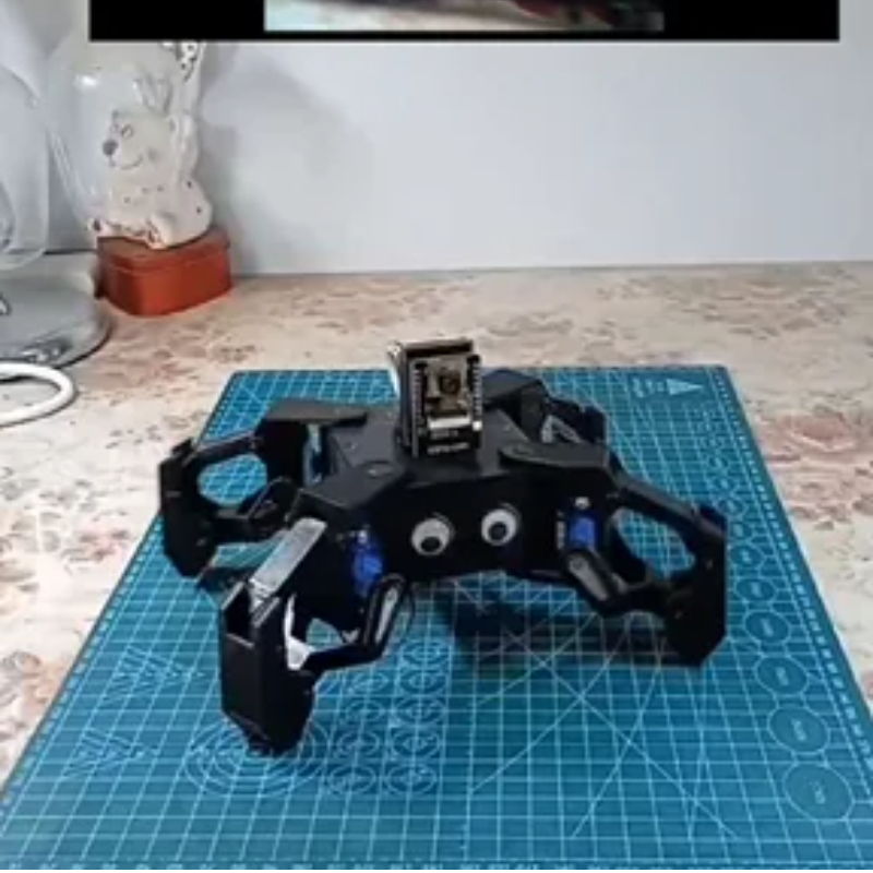 SG90 Video Robot Spider with C - Esp8266 review and price